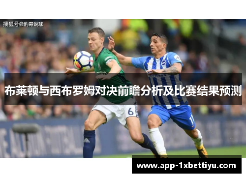 布莱顿与西布罗姆对决前瞻分析及比赛结果预测